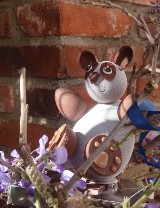 votre chocolatier à Toulouse fait la part belle aux animaux en chocolat pour Pâques Différents animaux en chocolat chez votre chocolatier à Toulouse préféré
